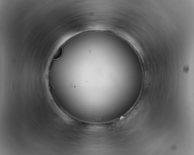 X0000103171187200808221227