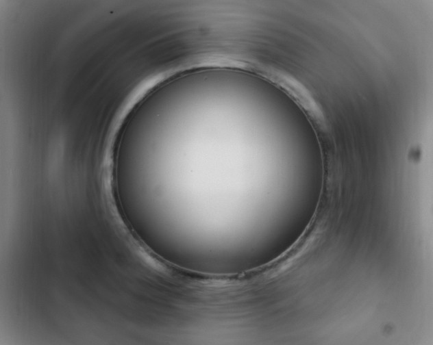 X0000103171188200808221227