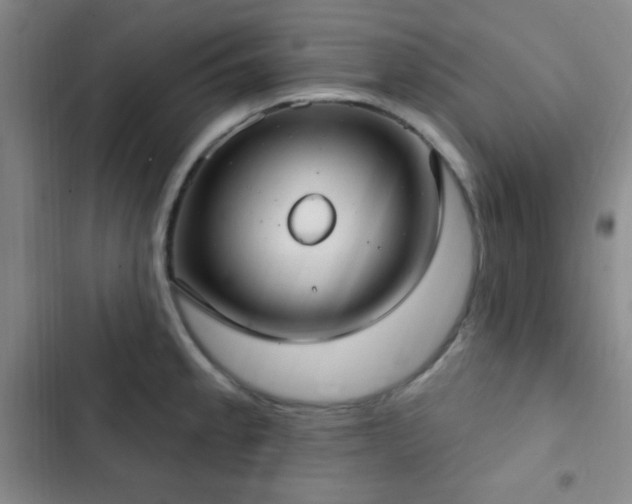X0000103171189200808221227