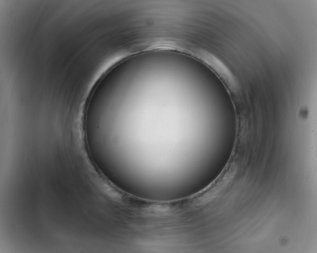X0000103171190200808221227