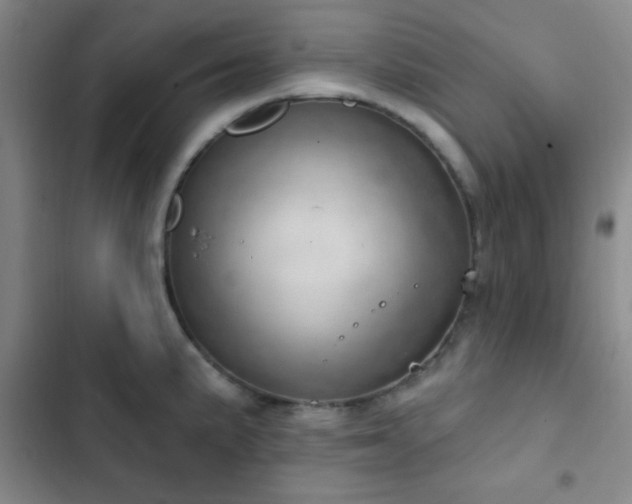 X0000103171191200808221227