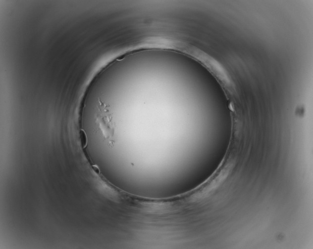 X0000103171192200808221227