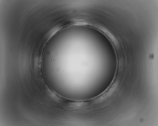 X0000103171193200808221227