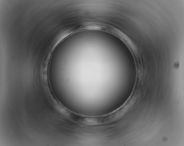 X0000103171194200808221227