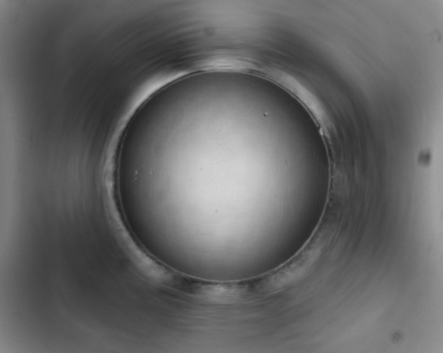 X0000103171195200808221227
