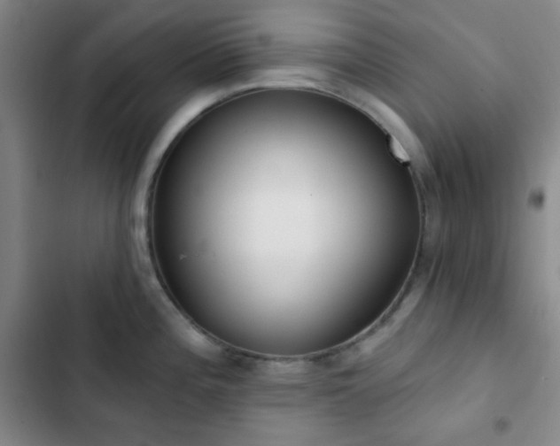 X0000103171196200808221227