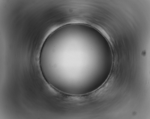 X0000103171197200808221227