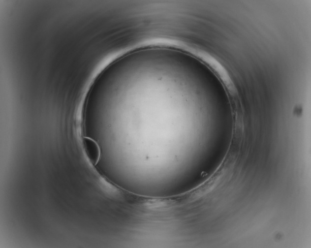 X0000103171199200808221227
