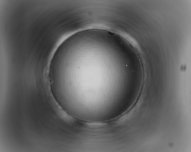 X0000103171200200808221227