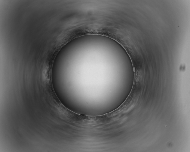 X0000103171202200808221226