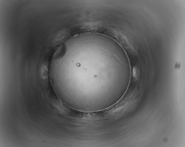 X0000103171203200808221226