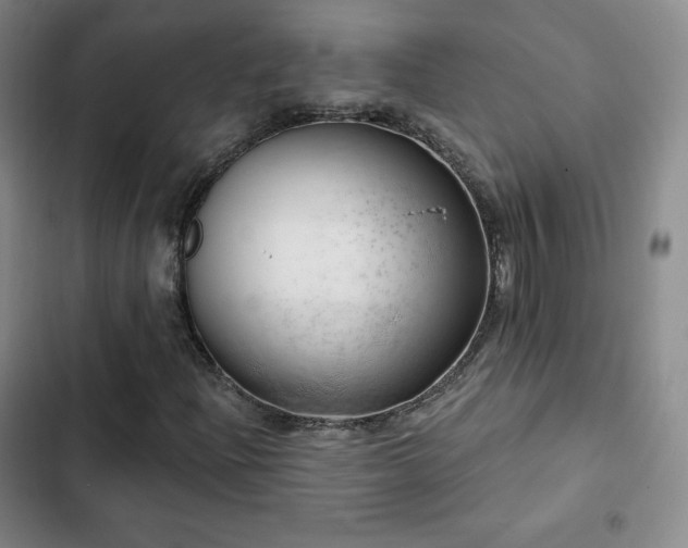 X0000103171204200808221226