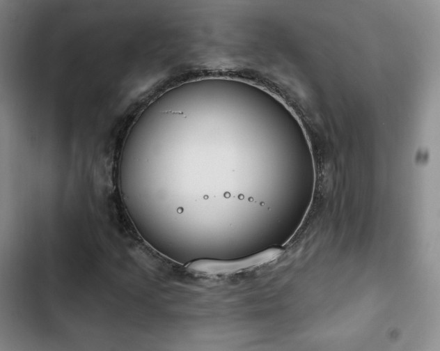 X0000103171205200808221226