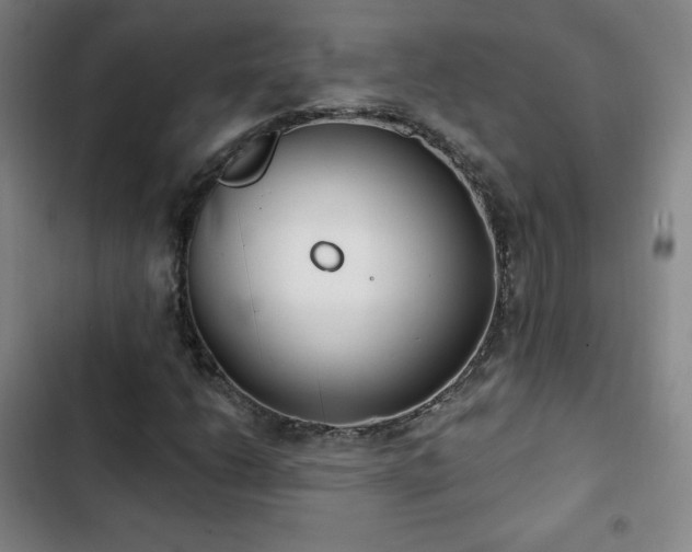X0000103171206200808221226