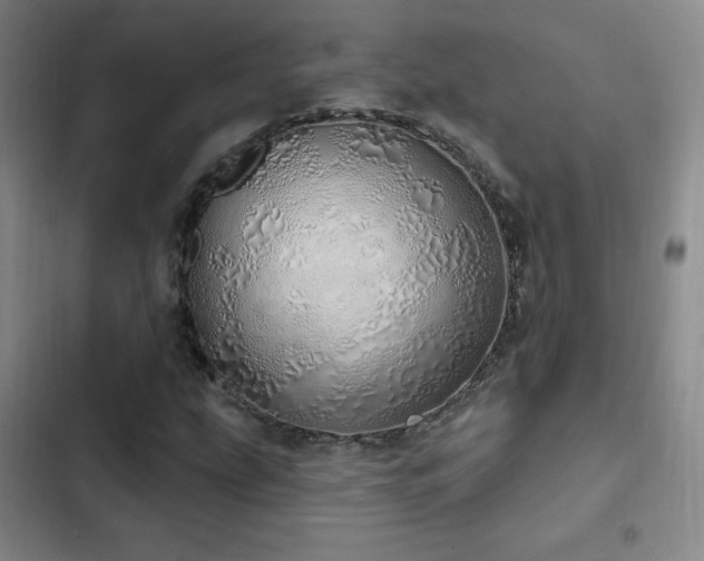 X0000103171207200808221226