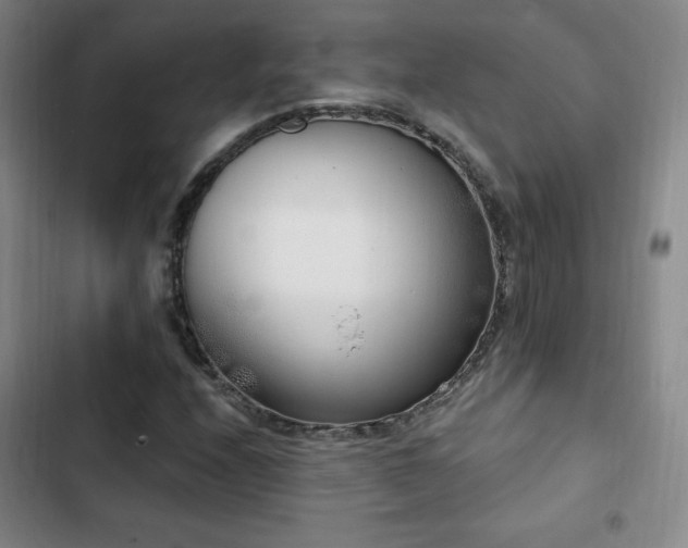 X0000103171208200808221226