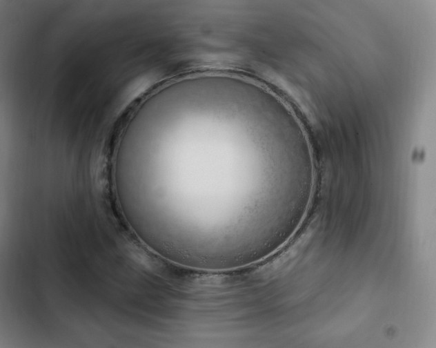 X0000103171211200808221226