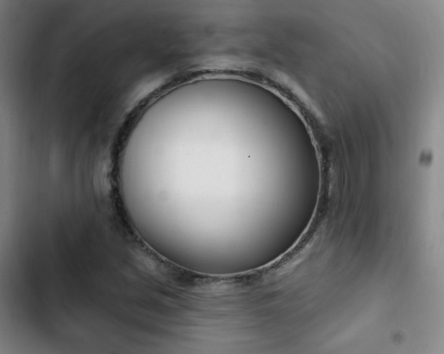 X0000103171213200808221226
