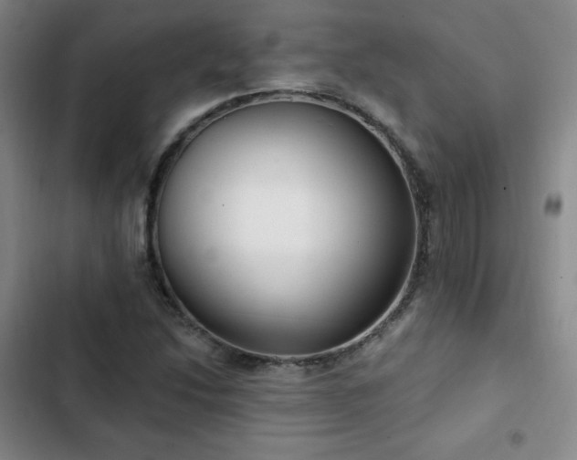 X0000103171214200808221226