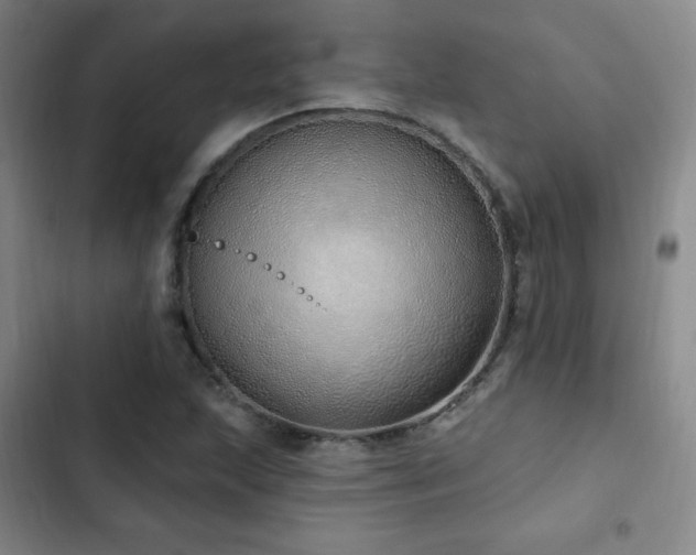 X0000103171215200808221226