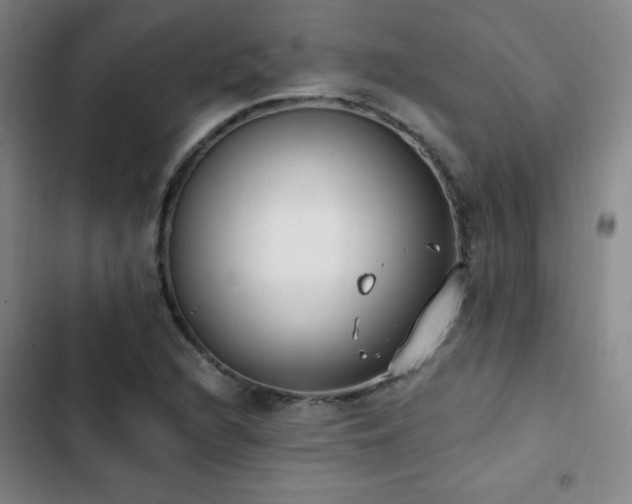 X0000103171216200808221226