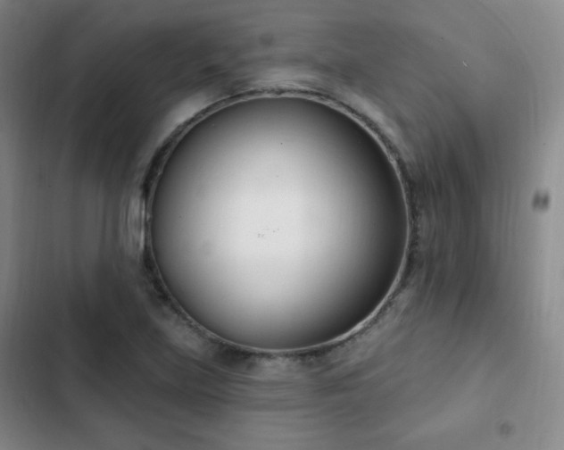 X0000103171219200808221227