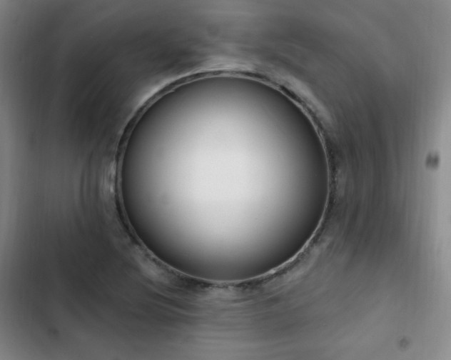 X0000103171220200808221227