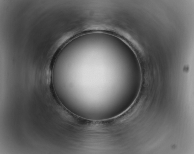 X0000103171221200808221227