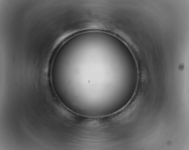 X0000103171222200808221227