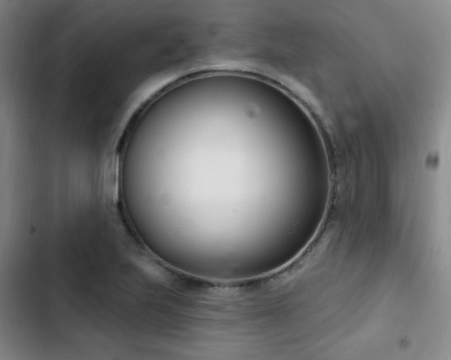 X0000103171223200808221227
