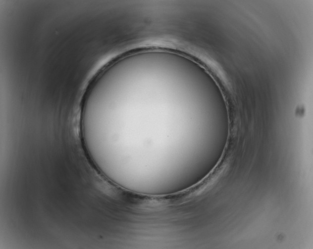 X0000103171224200808221227