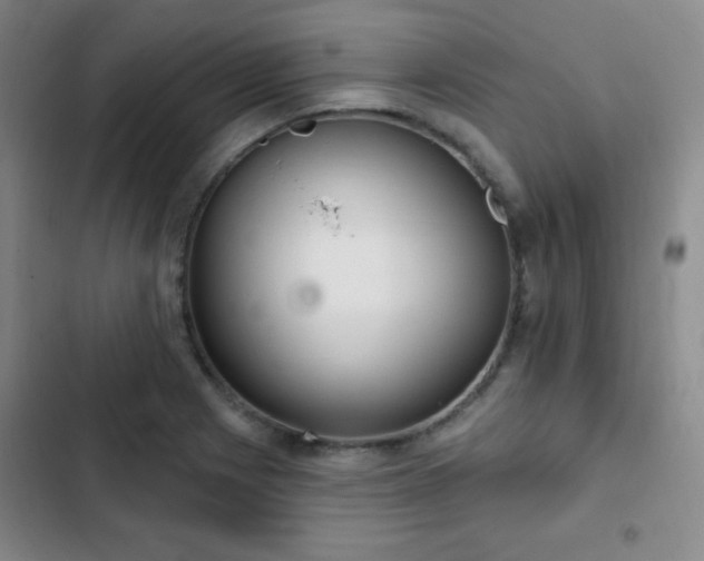 X0000103171225200808221227