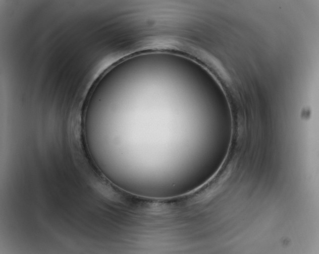 X0000103171226200808221227
