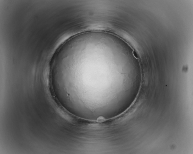 X0000103171227200808221227
