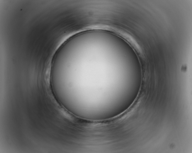 X0000103171228200808221227