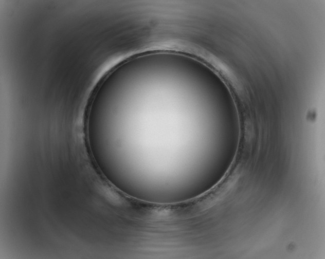 X0000103171230200808221227