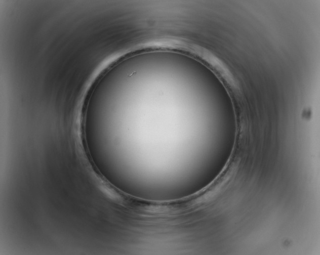 X0000103171232200808221227