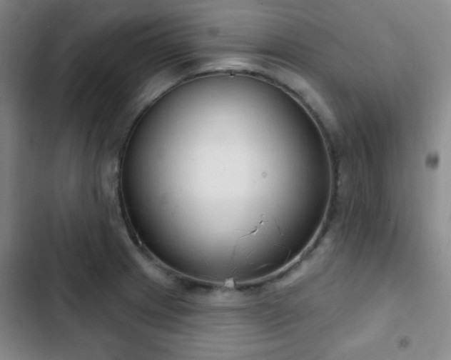 X0000103171233200808221227