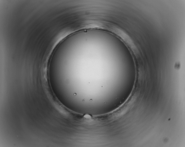X0000103171234200808221227