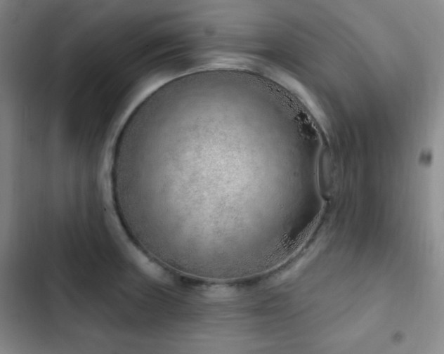 X0000103171235200808221227
