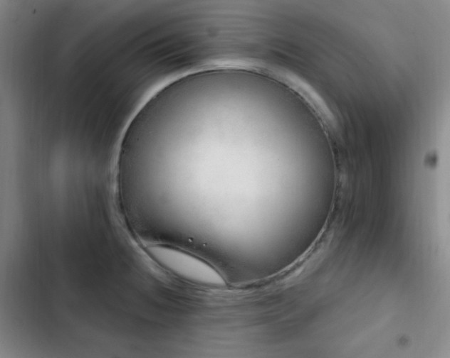 X0000103171236200808221227