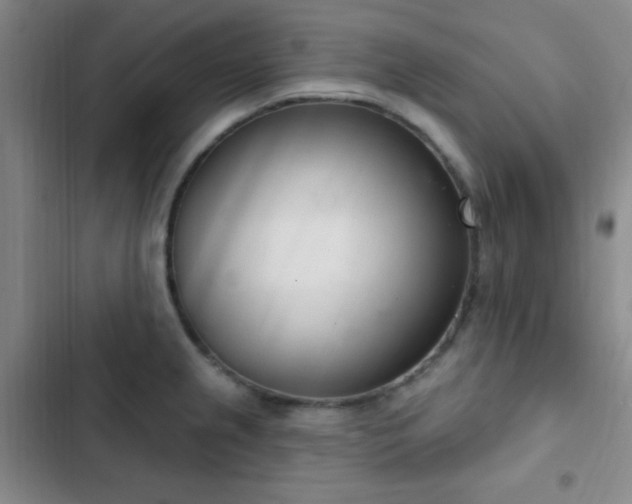 X0000103171237200808221227