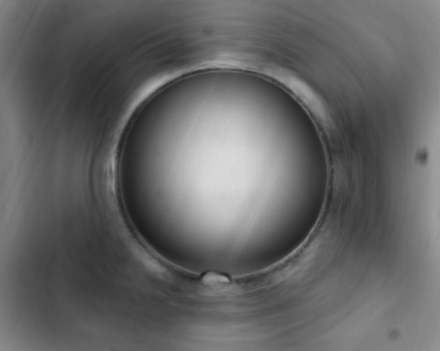 X0000103171238200808221227