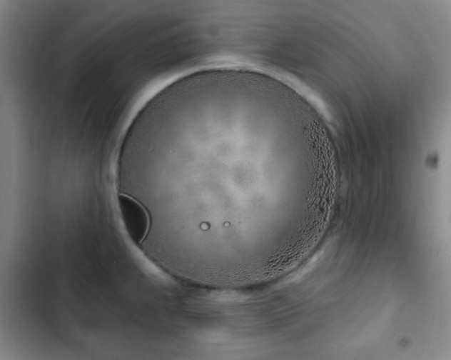 X0000103171239200808221227