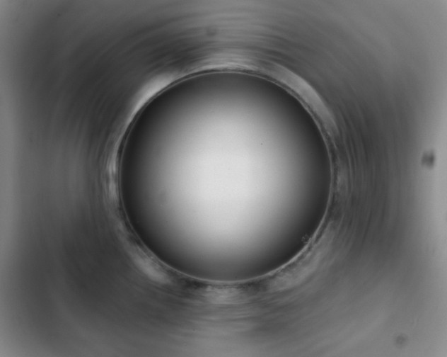 X0000103171242200808221227