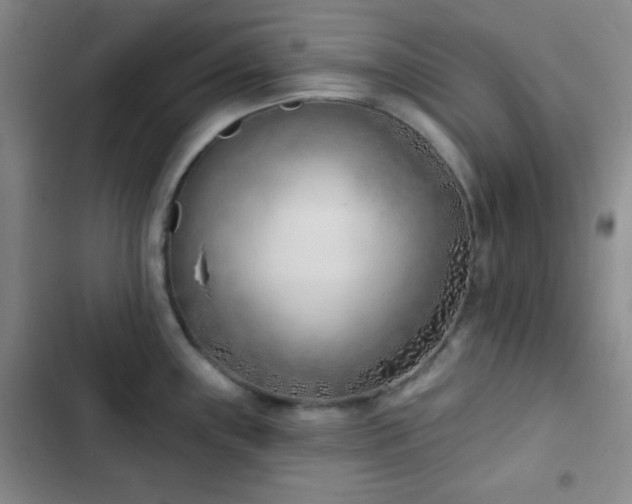 X0000103171243200808221227