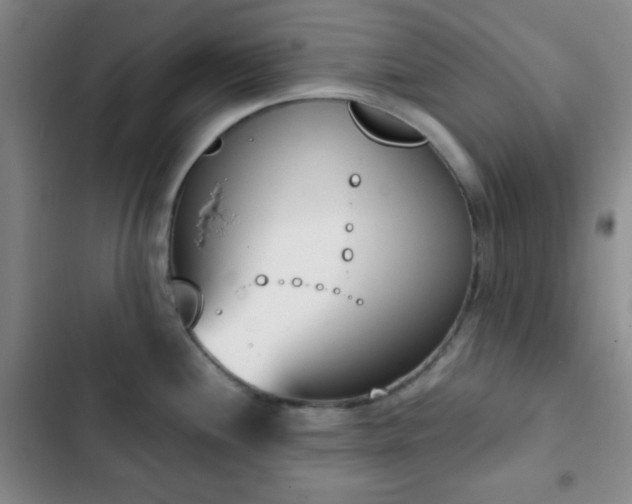 X0000103171244200808221227