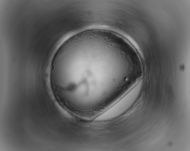 X0000103171245200808221227