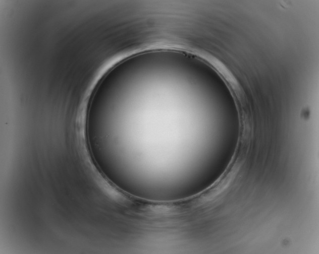 X0000103171246200808221227