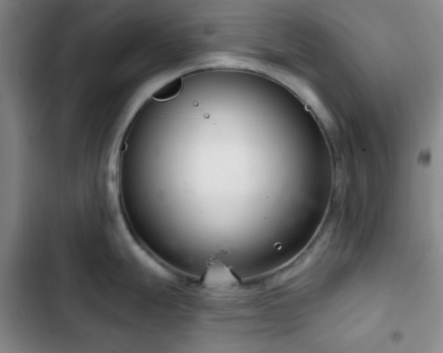 X0000103171247200808221227